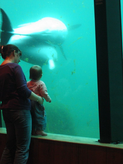 Eindelijk foto's van Sas d'r kadootje.....