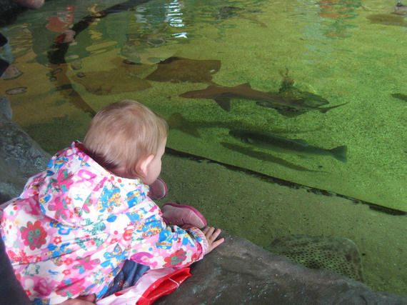 ... lekker naar het Dolfi.