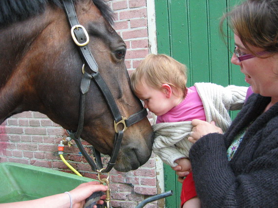 Grote dieren? Ik ben niet bang, het paard krijgt gewoon een kusje