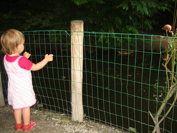Met mama naar de dierentuin (papa zat op Lowlands)