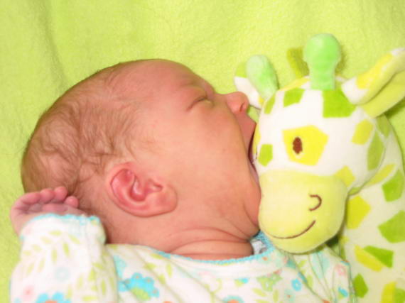 Giraffevlees.. Lekker!!!