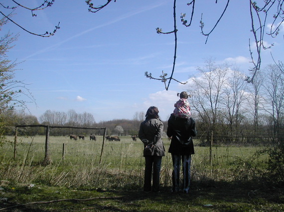 Heerlijk aan het genieten van de natuur