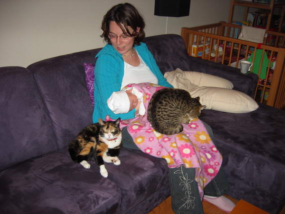 Niet alleen poezenmoeder maar ook écht moeder