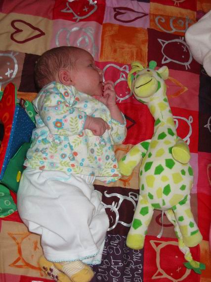 En nog een lieve giraffe